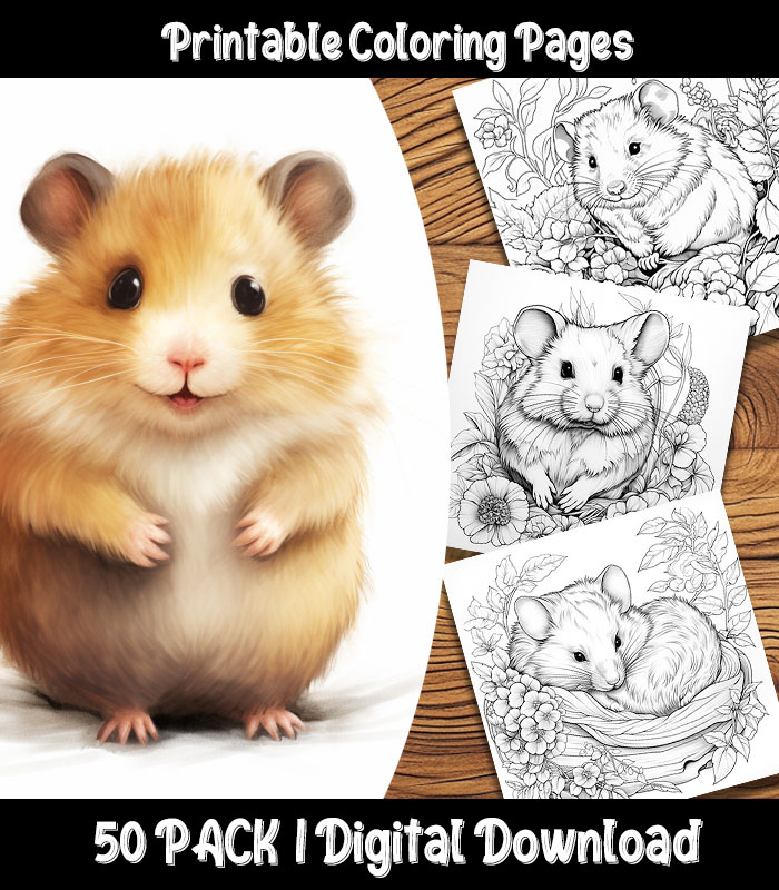 Hamster coloring pages digital pack happy colorist