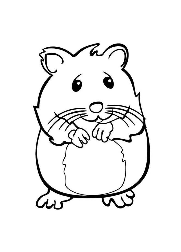 Cute hamster coloring pages pdf printable