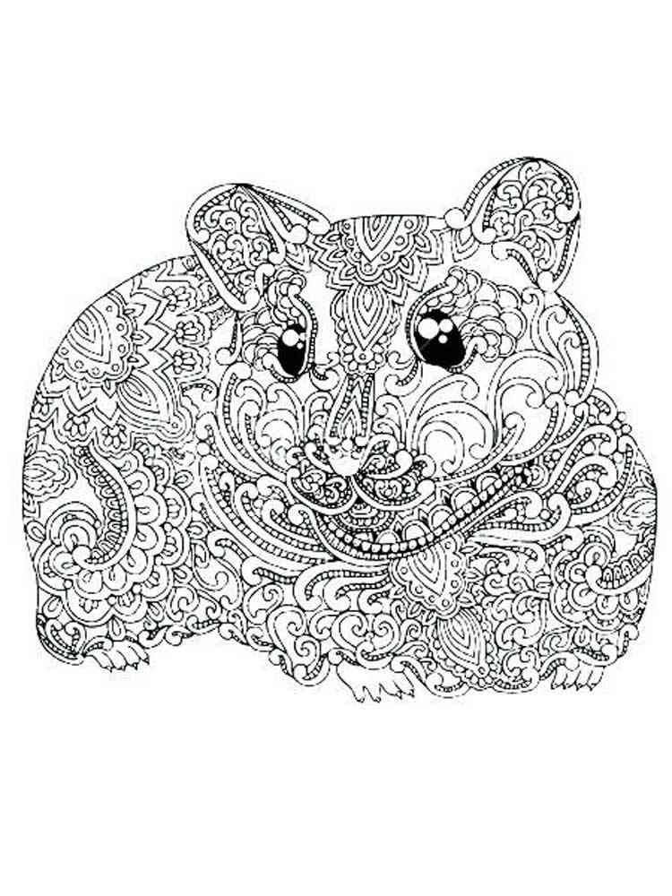 Free printable hamster coloring pages for adults