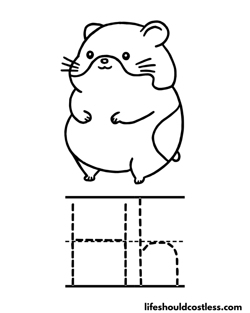 Hamster coloring pages free printable pdf templates