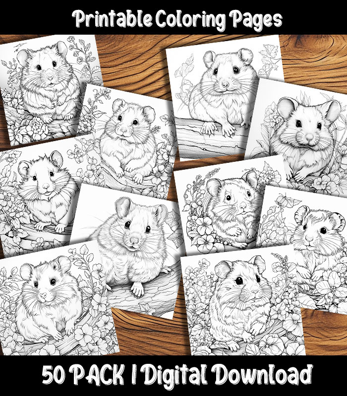 Hamster coloring pages digital pack happy colorist