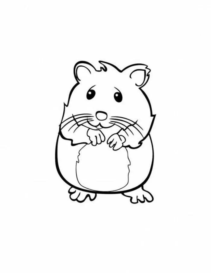 Cute hamster coloring pages pdf printable