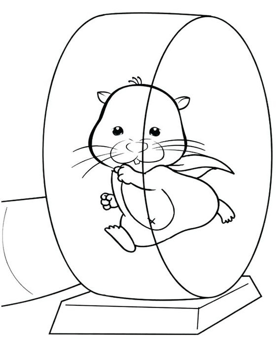 Free easy to print hamster coloring pages