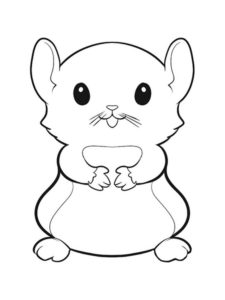 Hamster coloring pages âï free coloring pages