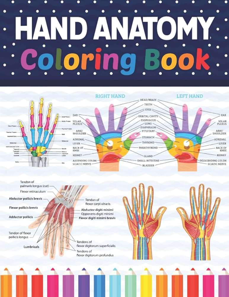 Hand anatomy coloring book human hand coloring activity book for kids an entertaining and instructive guide to the human hand human hand anatomy human hand students self