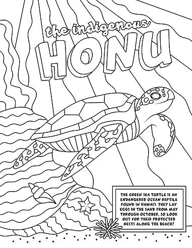 Da big hawaiian coloring book â small fry kauai