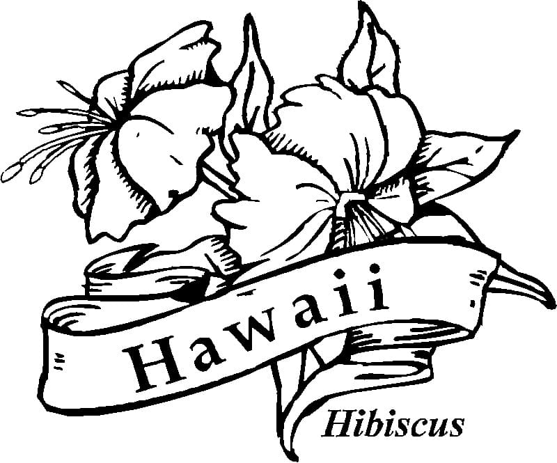 Hawaii hibiscus coloring page