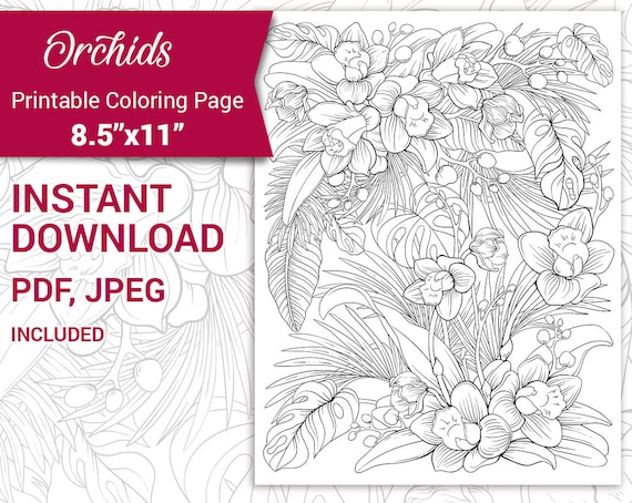 Pdf jpeg printable adult coloring page botanical printable coloring page tropical orchids hawaii summer flowers and leaves coloring instant download