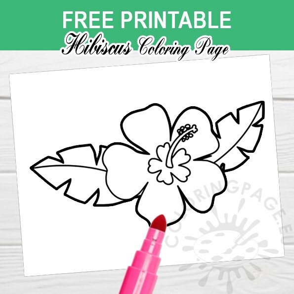 Hibiscus flower template coloring page