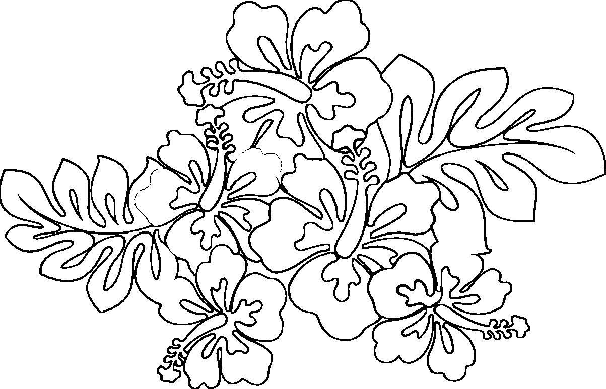 Hawaii flower coloring pages printable flower coloring pages coloring pages flower coloring pages