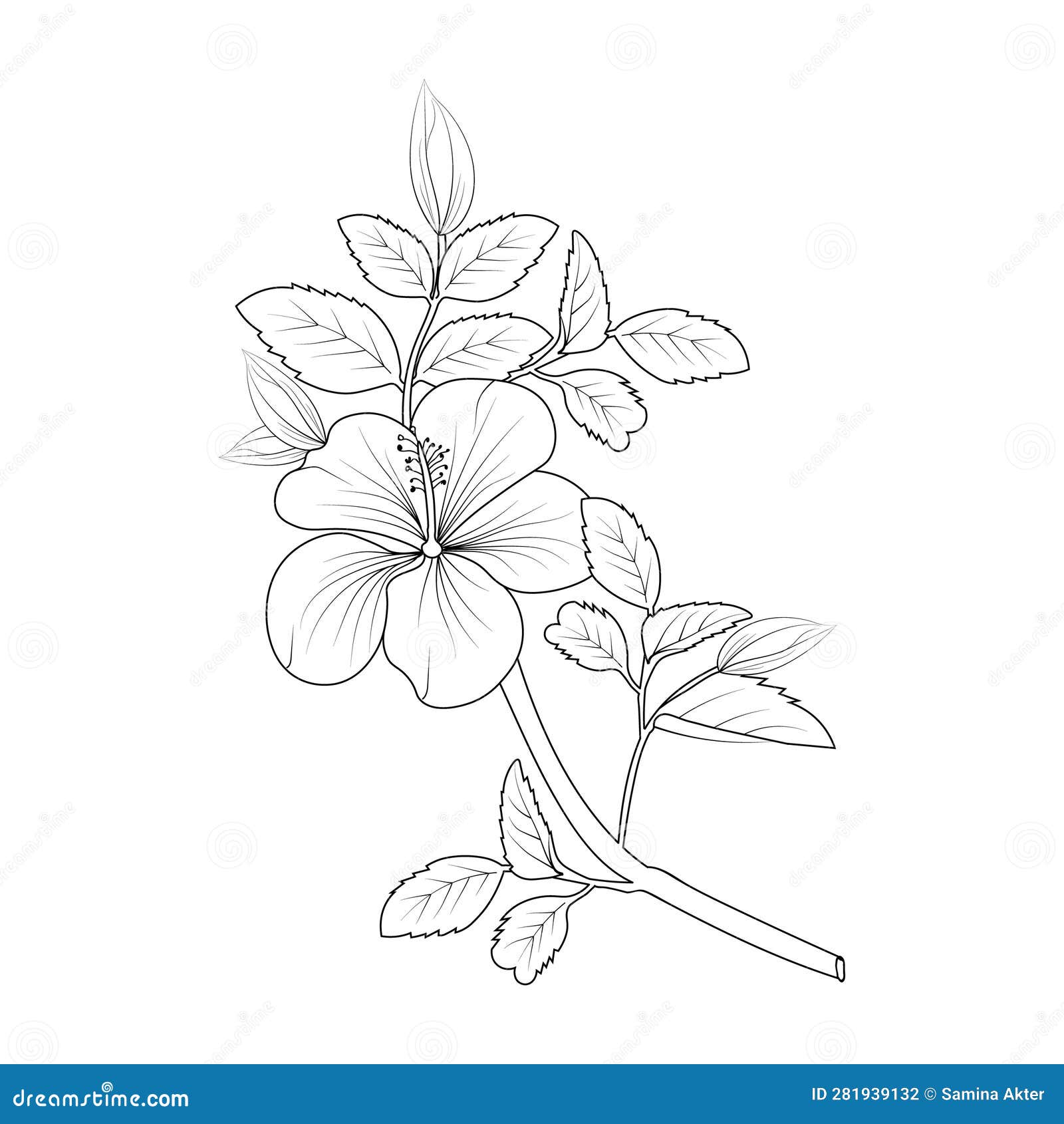 Topical flower hibiscus coloring pagesprintable hibiscus flower coloring pages stock vector