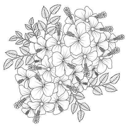 Hibiscus flowers coloring page illustration with hawaiian hibiscus leaves and outline rose of sharon stock illustration