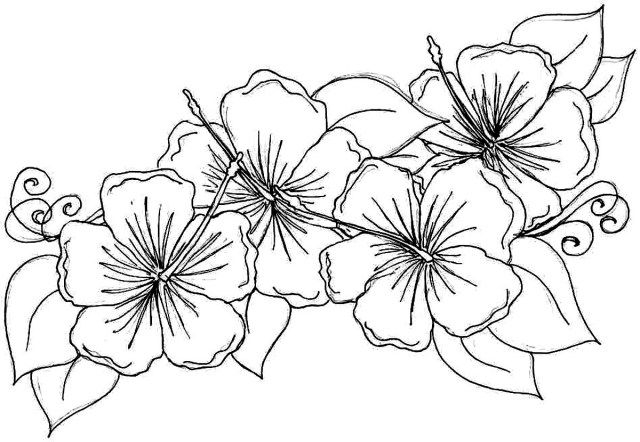 Brilliant picture of flowers coloring pages