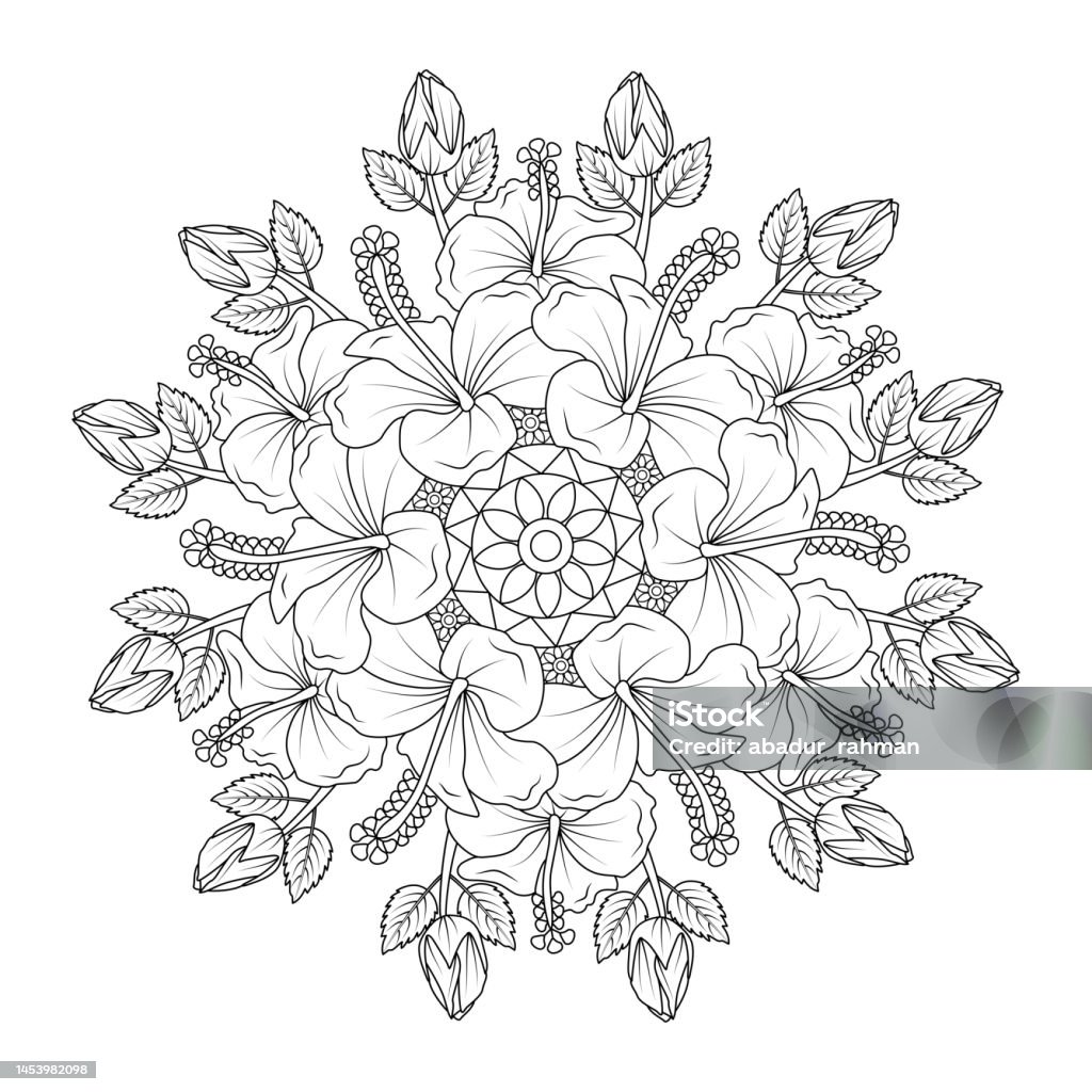 Hibiscus flowers coloring page illustration with hawaiian hibiscus leaves and outline rose of sharon stock illustration