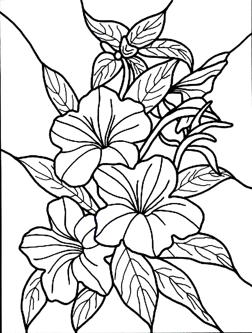 Free printable hibiscus coloring pages for kids