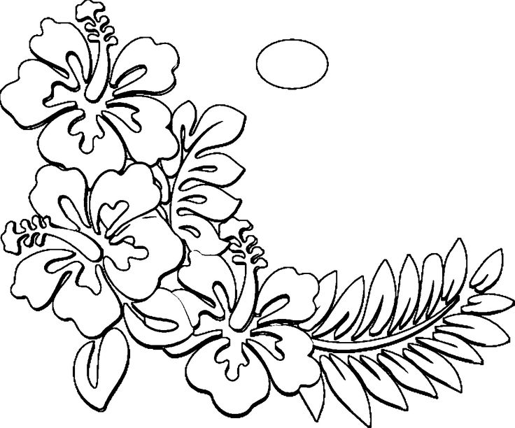 Accidentalshakespeare flower coloring pages printable flower coloring pages hawaii flowers drawing