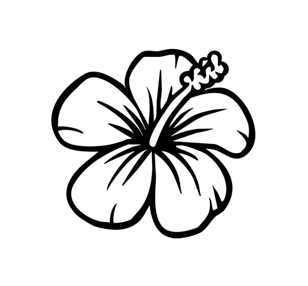 Hawaiian flower coloring page