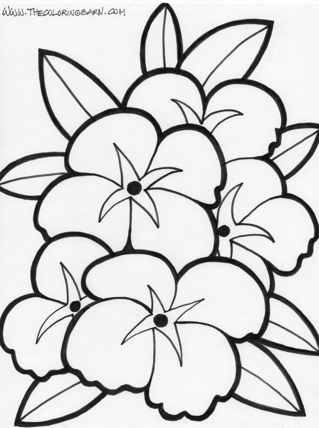 Free printable coloring pages of hawaiian flowers download free printable coloring pages of hawaiian flowers png images free cliparts on clipart library