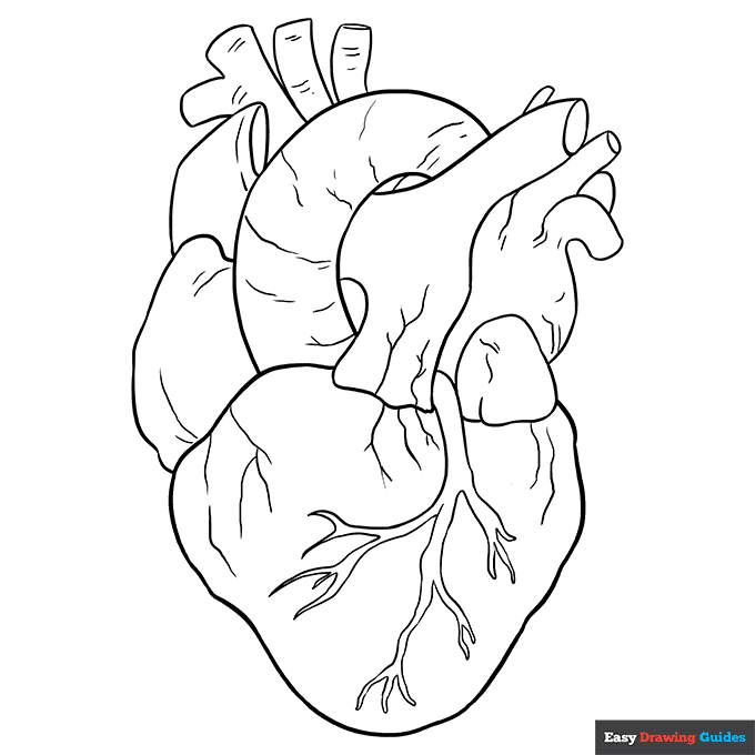 Free printable heart coloring pages for kids