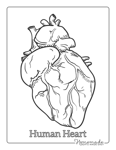 Adorable heart coloring pages for kids adults