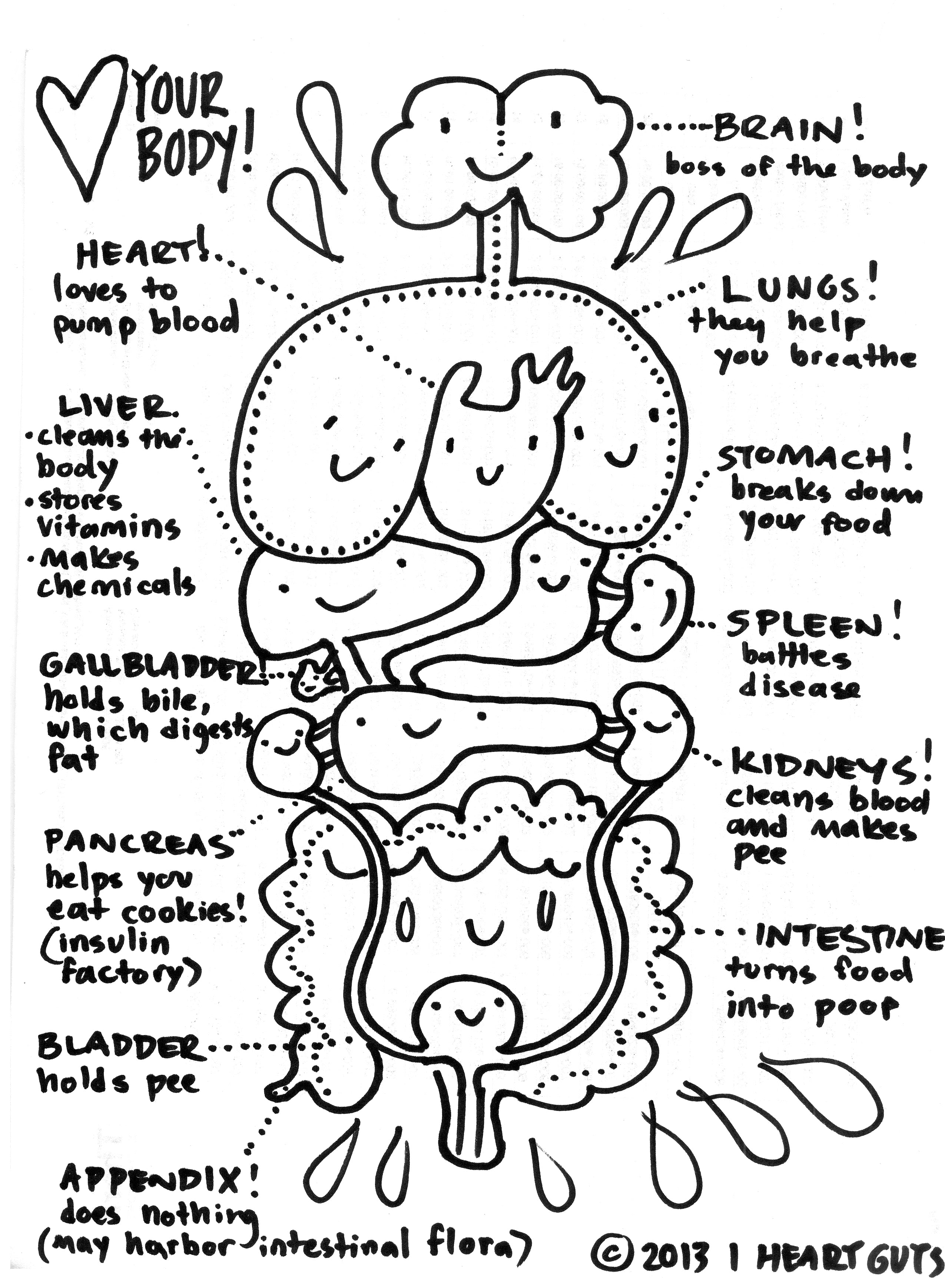 Anatomy coloring page i heart guts