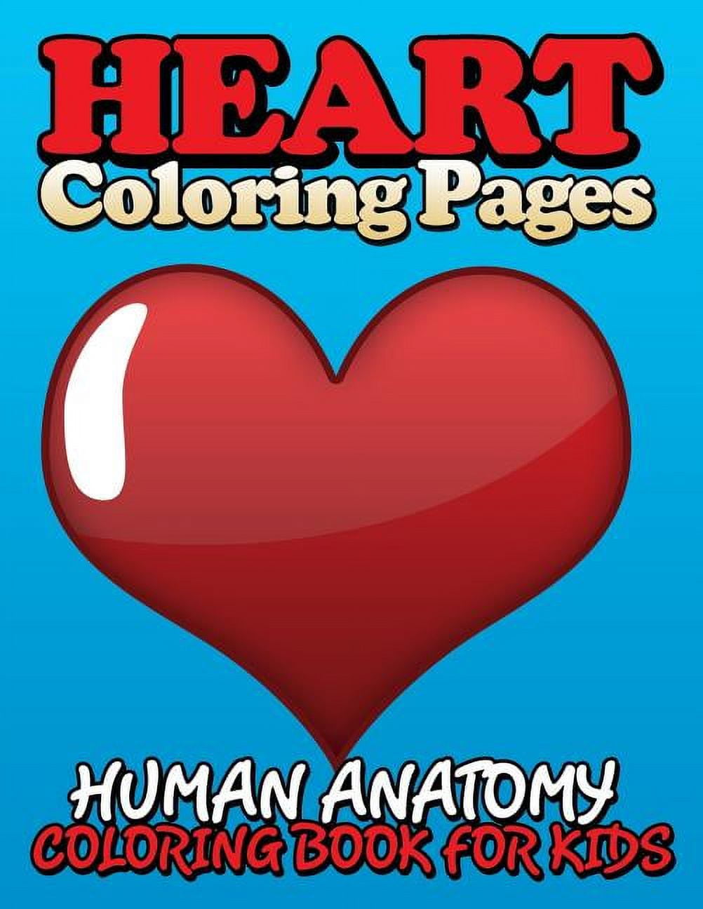 Heart coloring pages human anatomy coloring book for kids paperback