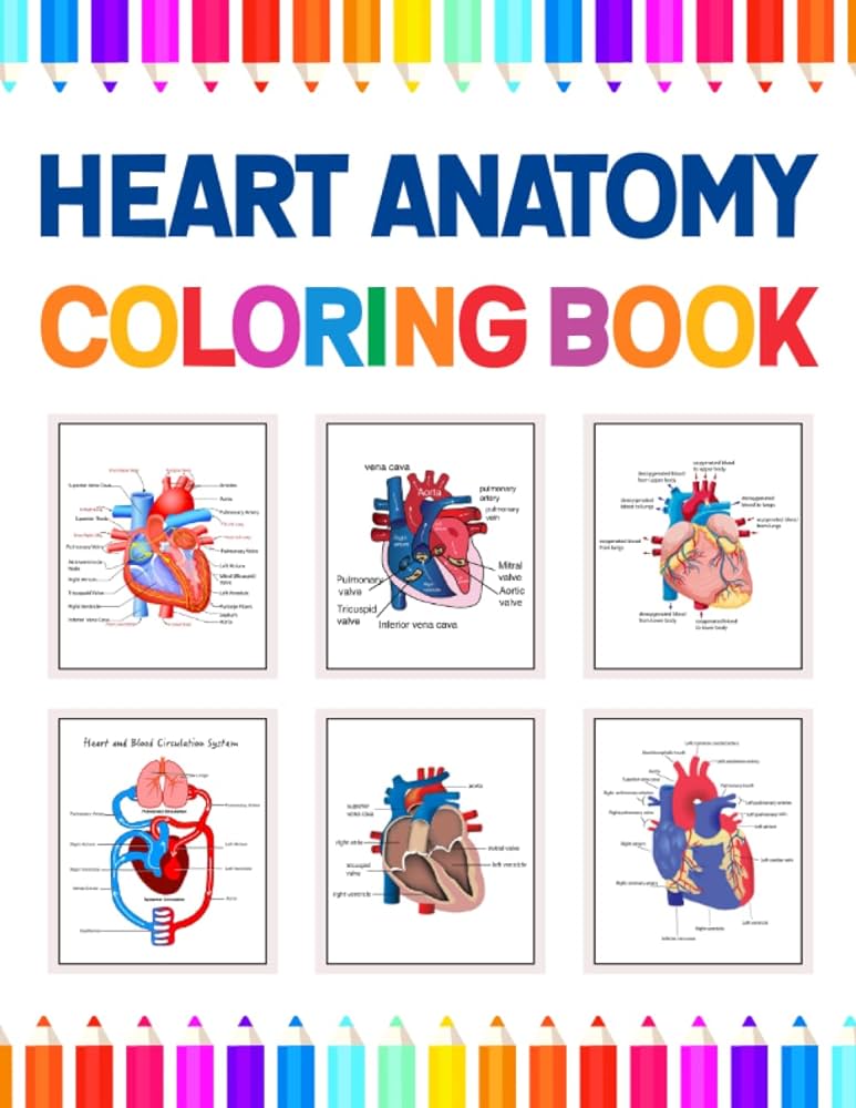 Heart anatomy coloring book incredibly detailed self