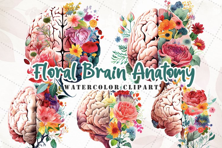 Anatomy coloring pages heart brain free design bundles