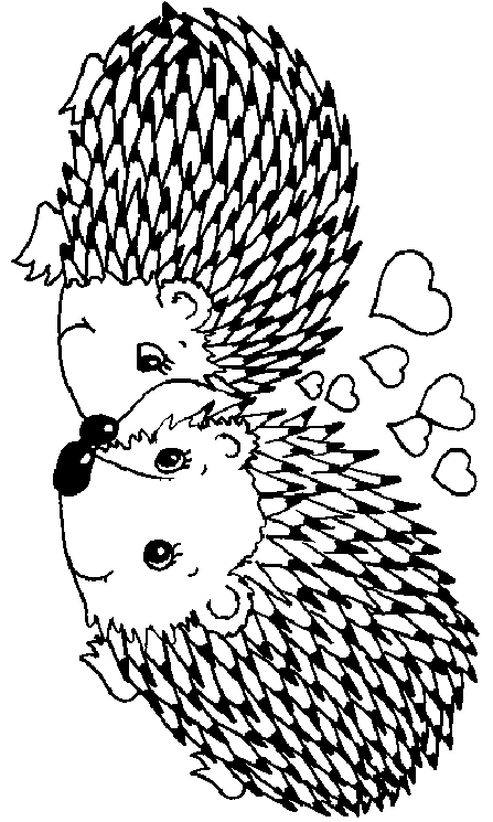 Hedgehog coloring