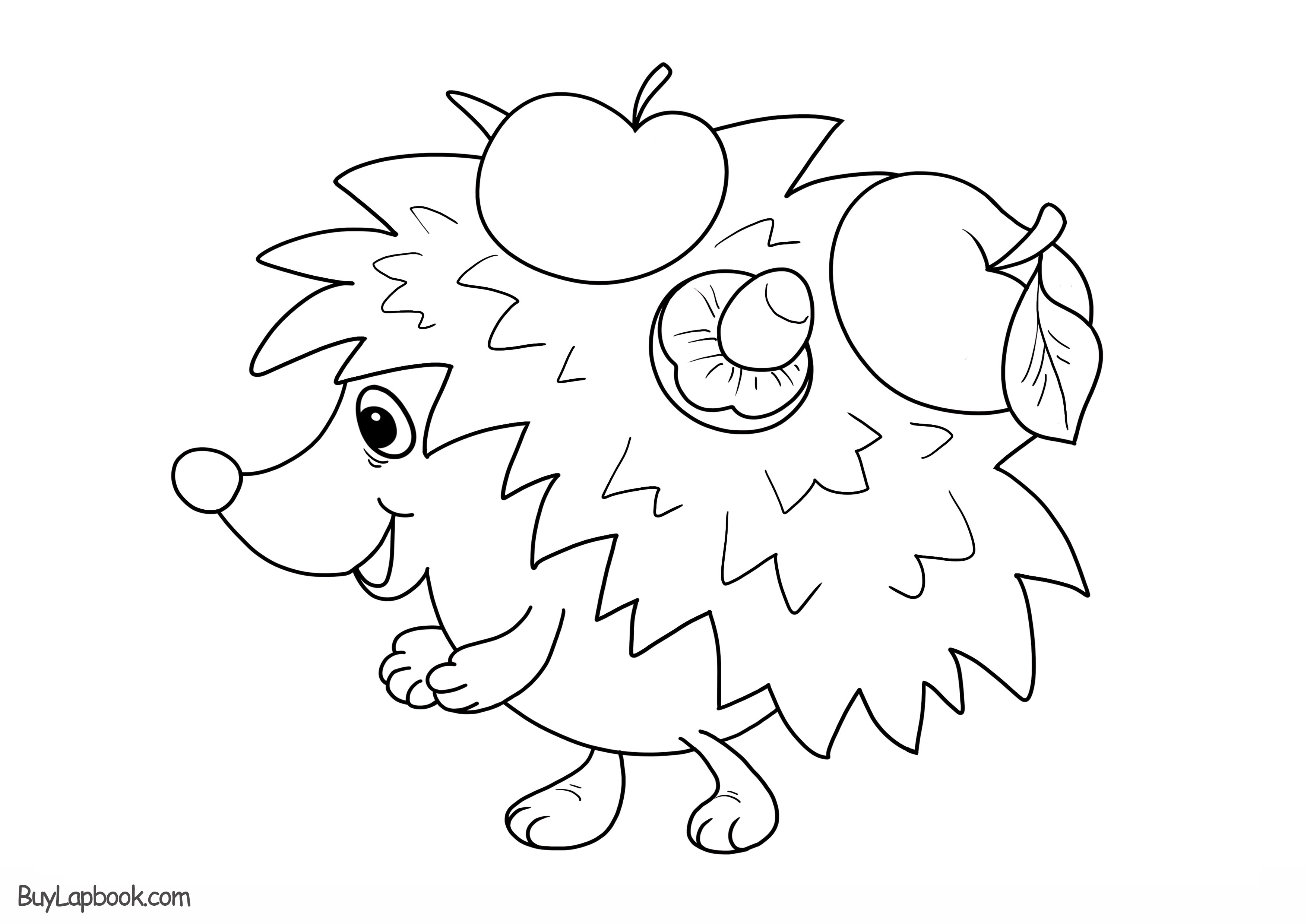 Hedgehogs free printable coloring and activity page for kids