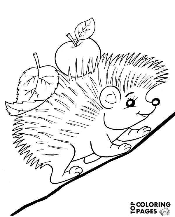 Hedgehog coloring page sheet printable