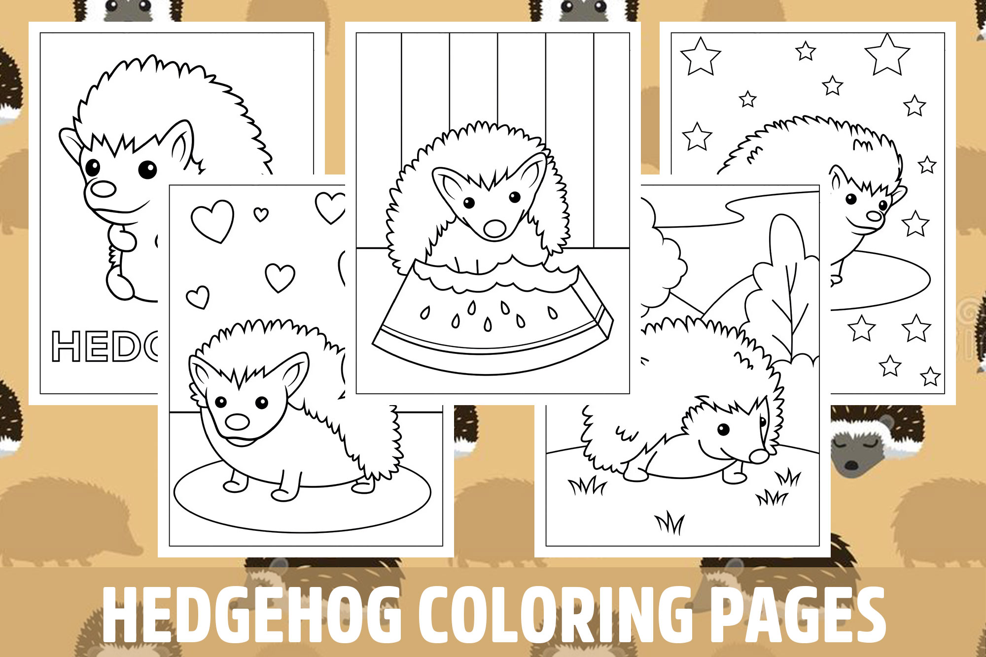 Hedgehog coloring pages for kids girls boys teens birthday school activity made by teachers