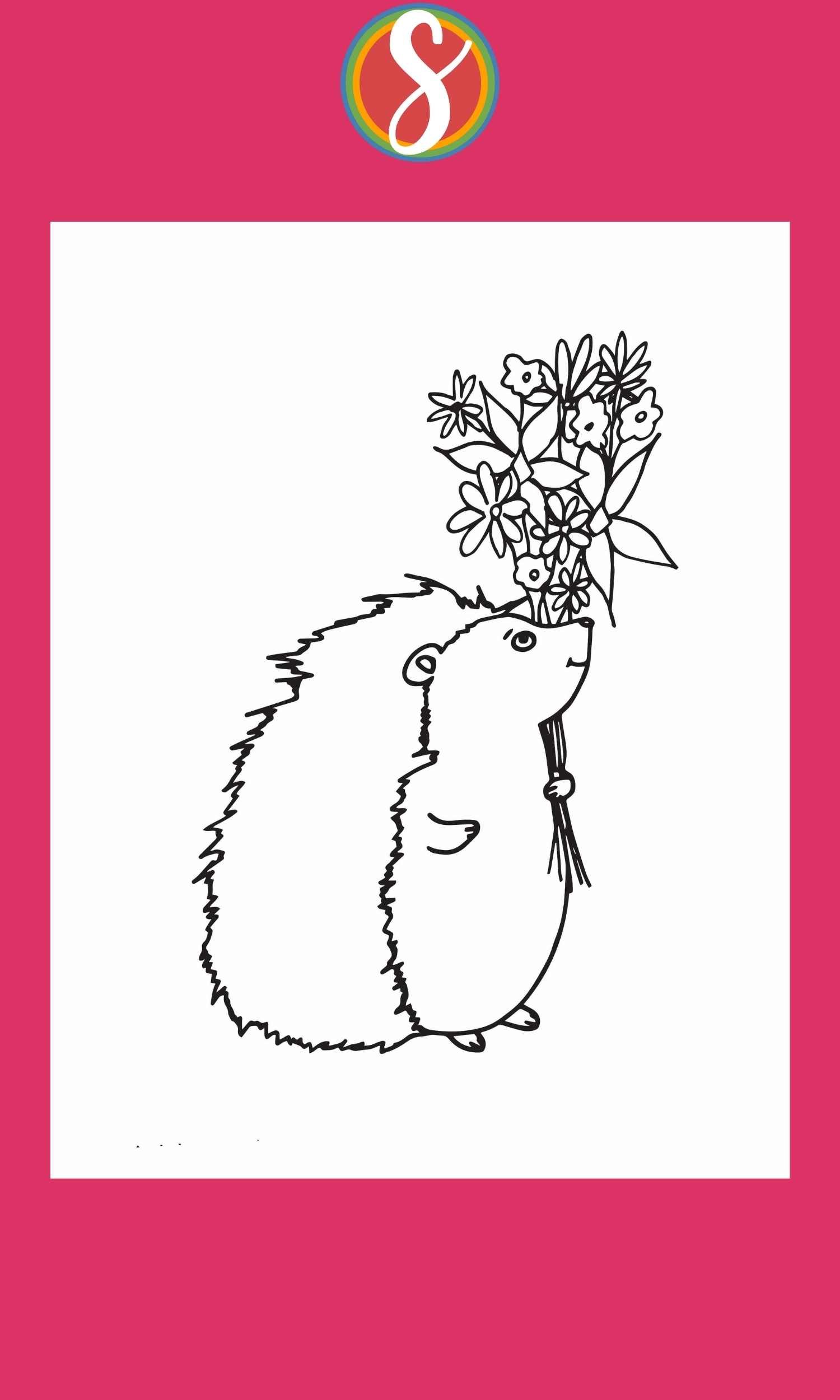 Free hedgehog coloring pages â stevie doodles