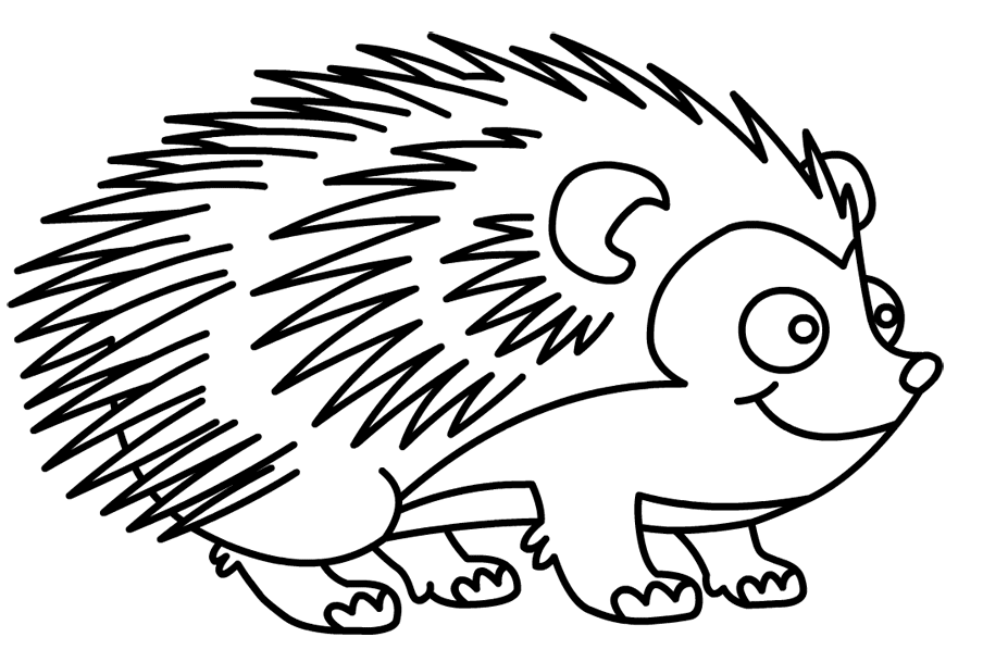 Hedgehog coloring pages