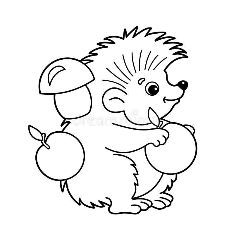 Hedgehog coloring book stock illustrations â hedgehog coloring book stock illustrations vectors clipart