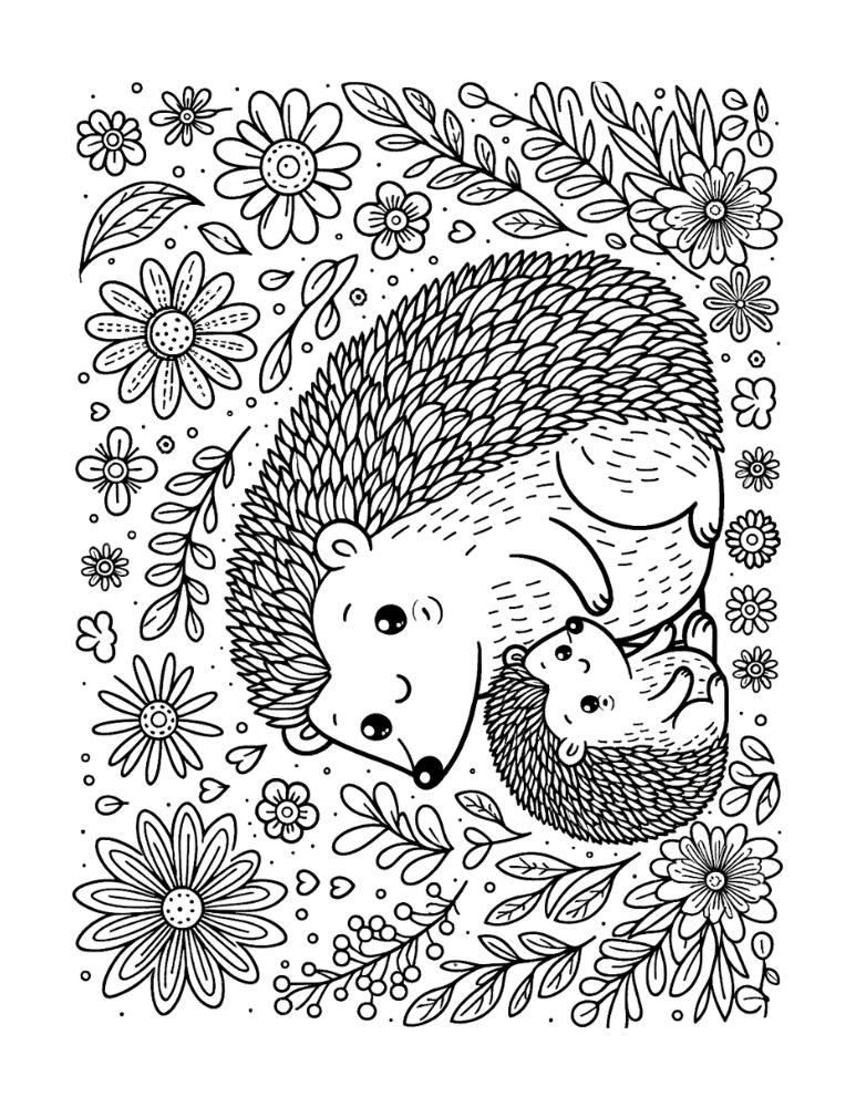 Free printable hedgehog coloring pages