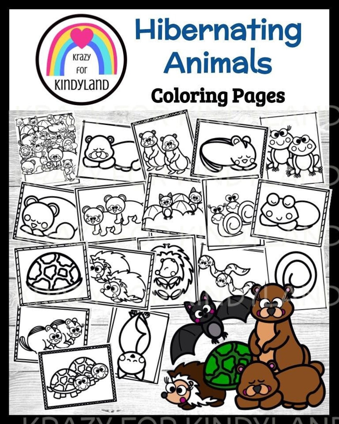 Hibernating animals hibernation coloring pages groundhog bear snake bat kids coloring book kids coloring sheets kids coloring pages