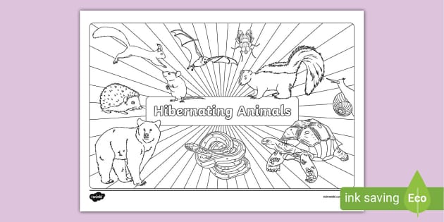 Hibernating animals louring page teacher made