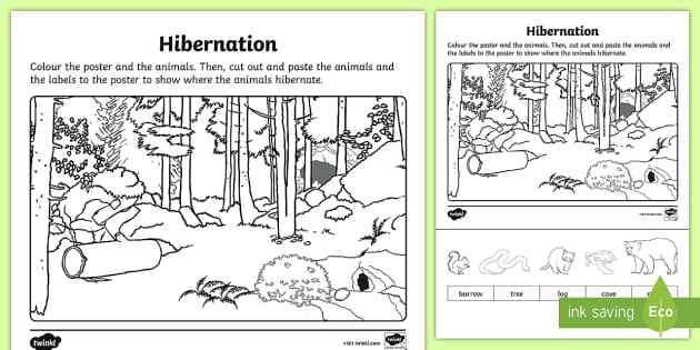 Hibernation cut and lour worksheet teacher made