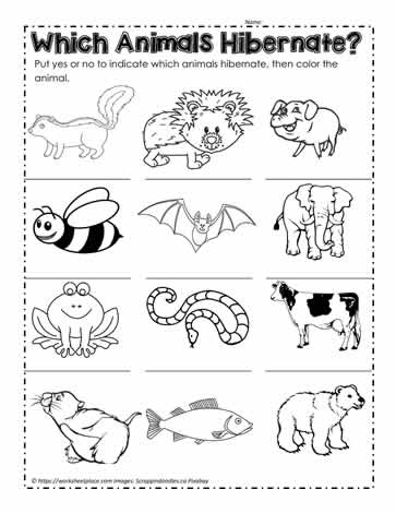 Animals that hibernate worksheets