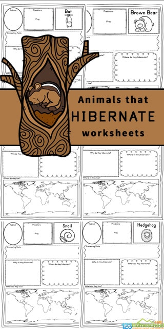 Hibernating animals printable pages free homeschool deals