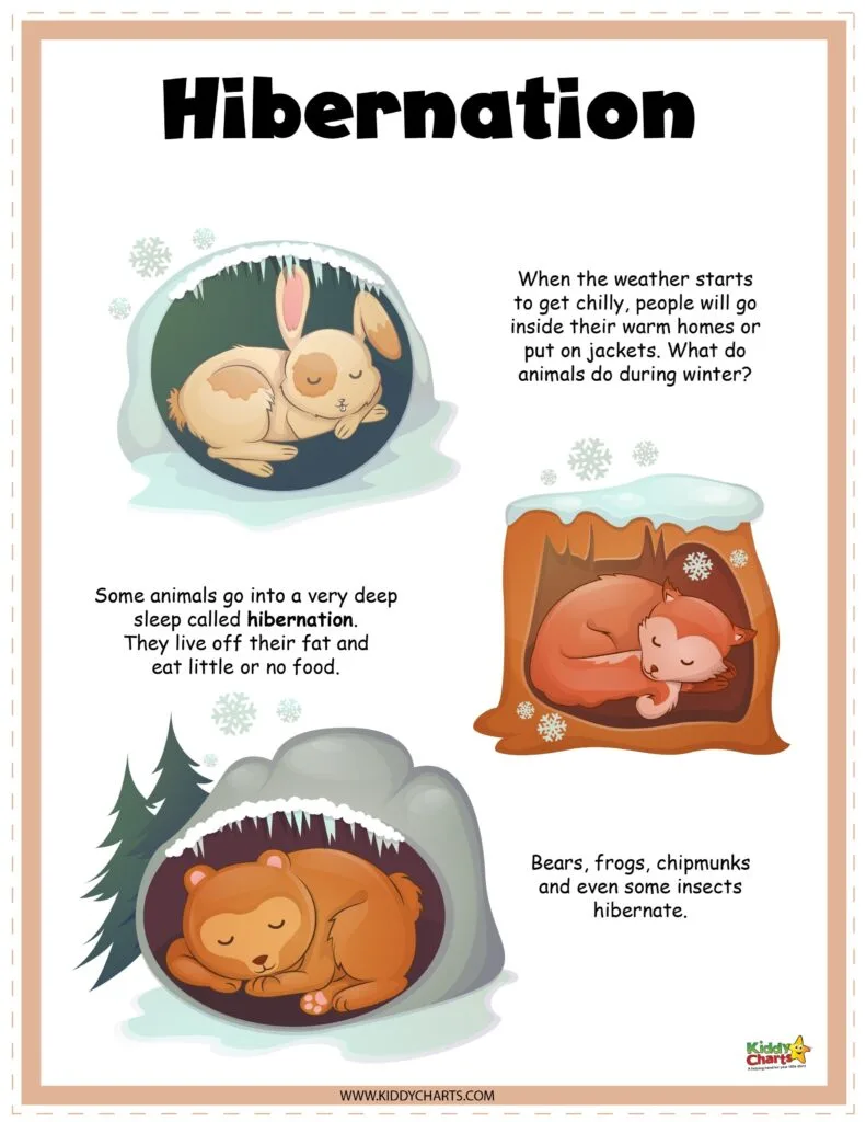 Hibernating animals activity sheets