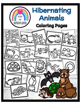 Hibernating animals hibernation coloring pages groundhog bear snake bat