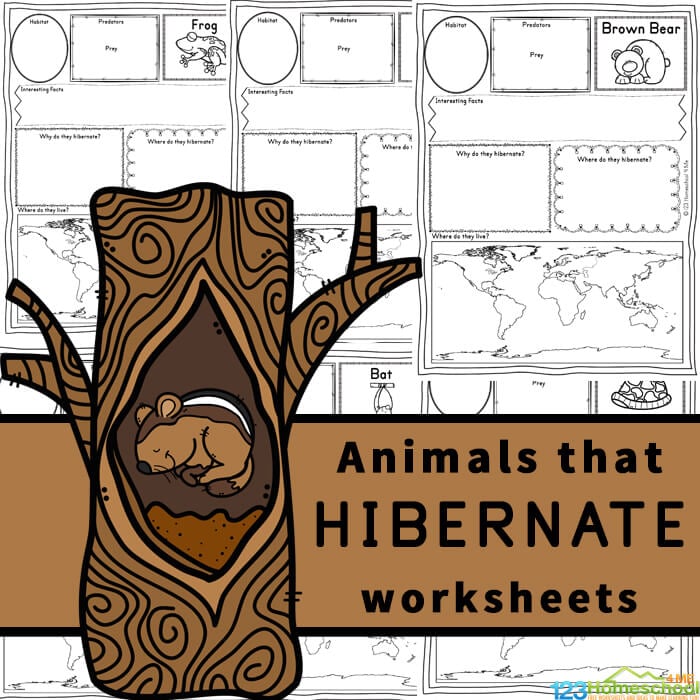 Ðððð free free printable animals that hibernate worksheets