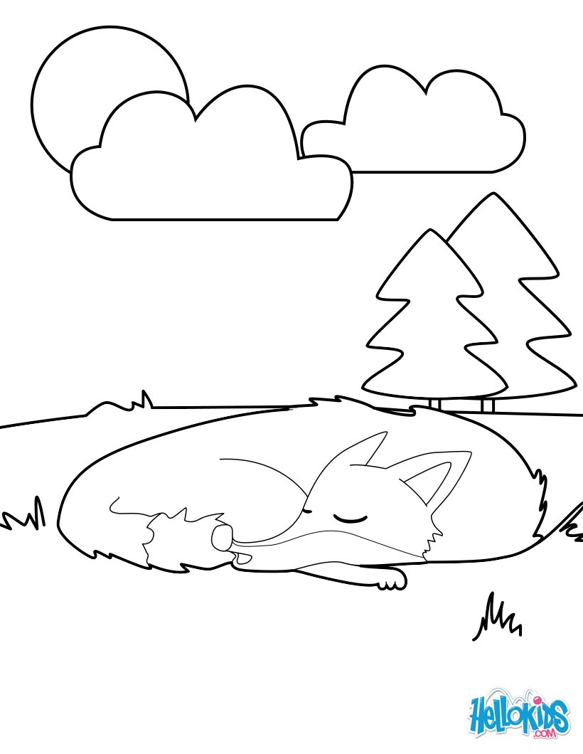 Sleeping fox coloring pages