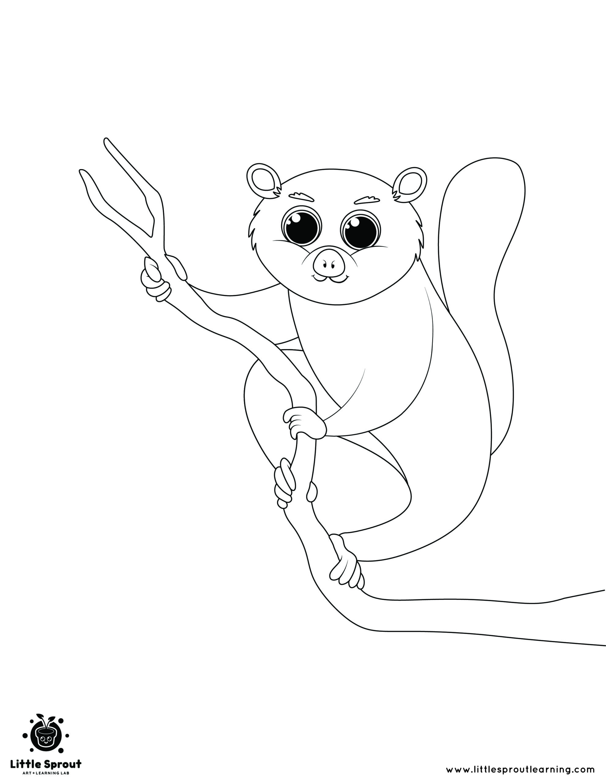 Best hibernating animal coloring pages