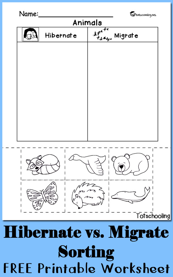 Hibernation vs migration animal sorting worksheet