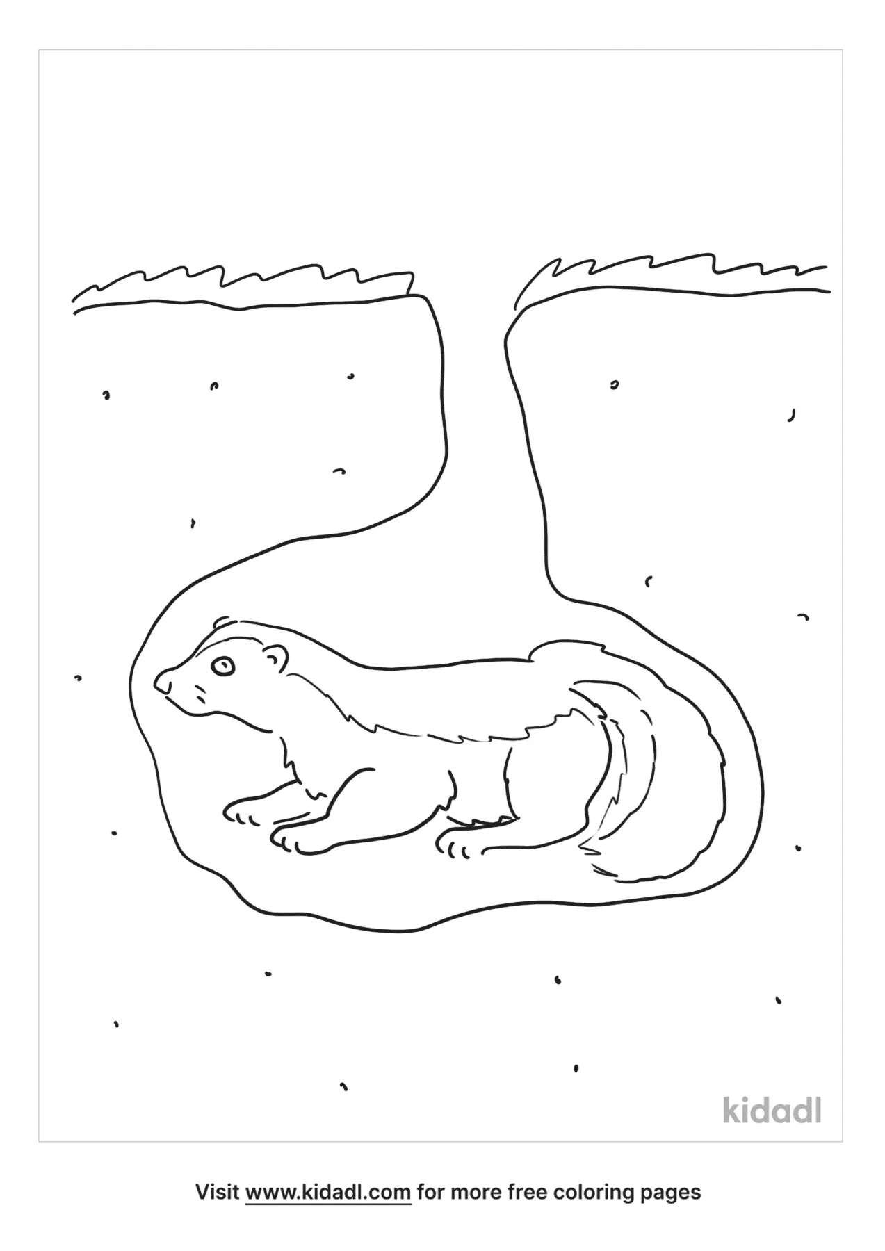 Free hibernating skunk coloring page coloring page printables