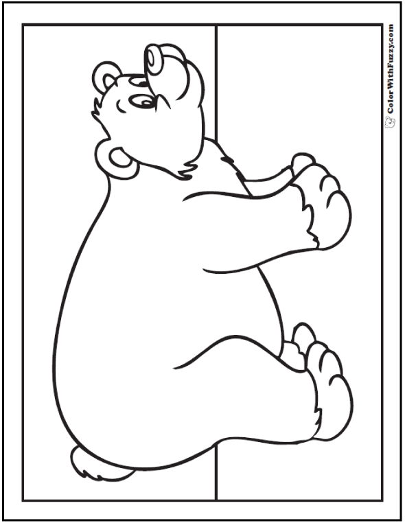 Bear coloring pages grizzlies koalas pandas polar and teddy bears