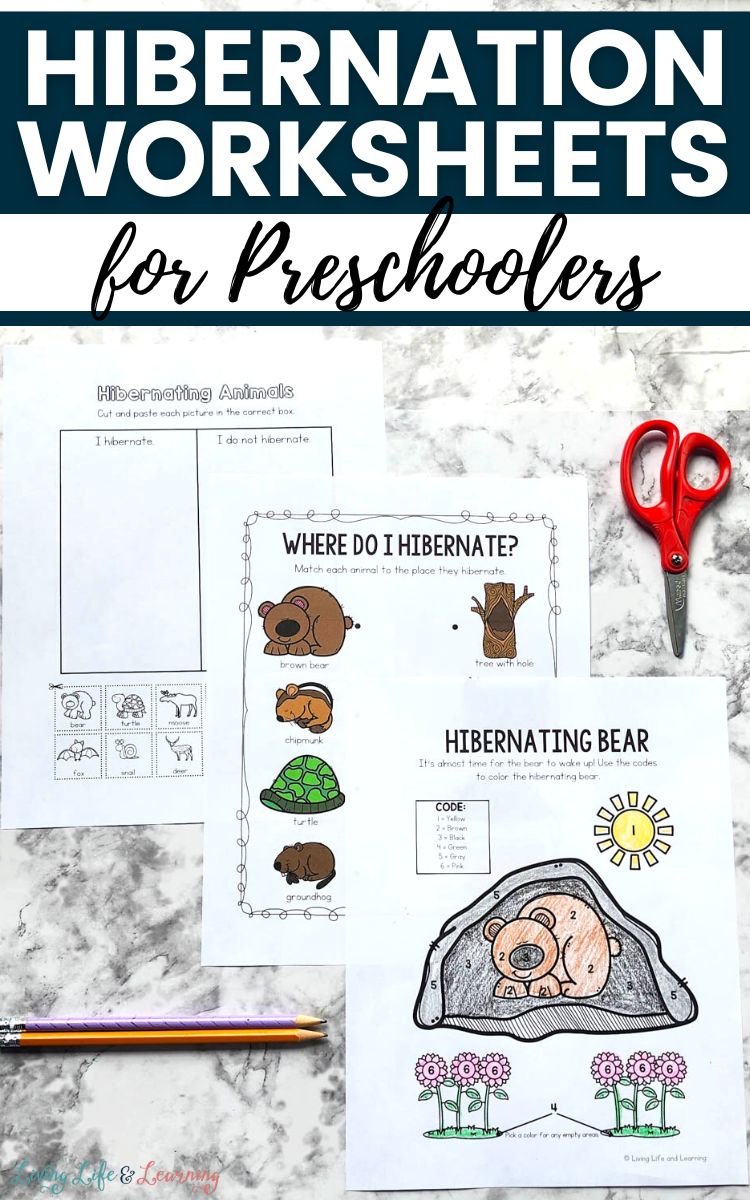 Hibernation worksheets for preschoolers